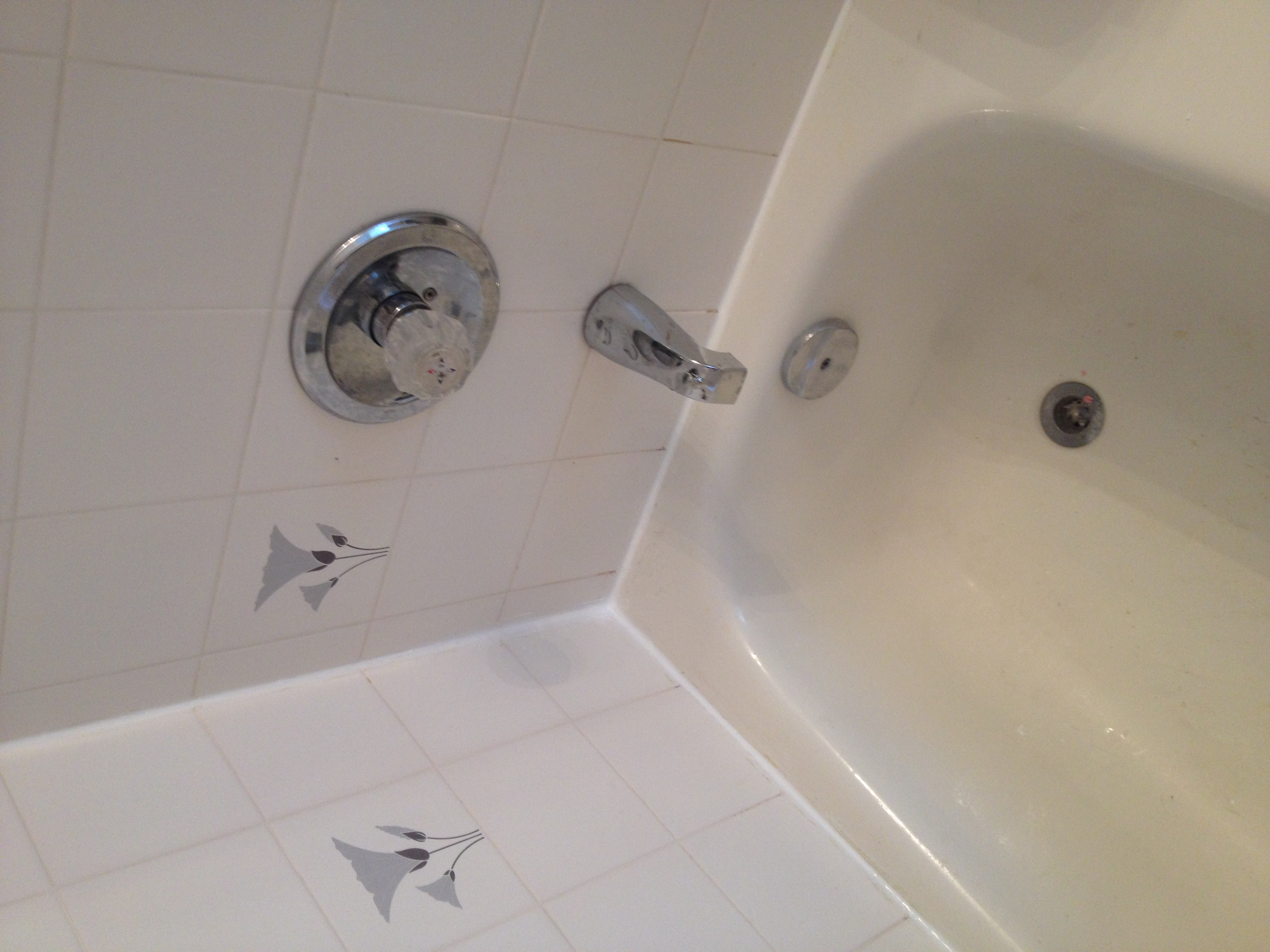 Bath Tub Mold Removal and Caulking